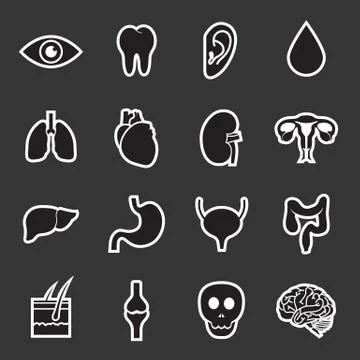 Human organs icon Stock Illustration