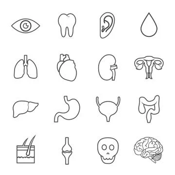 Human organs icon Stock Illustration