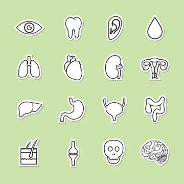 Human organs icon Stock Illustration