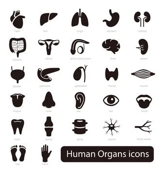 Human Organs icon set, vector illustration Illustrazione stock