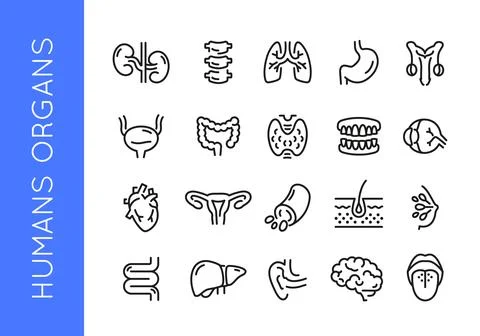 Human Organs Icons Set Illustrazione stock
