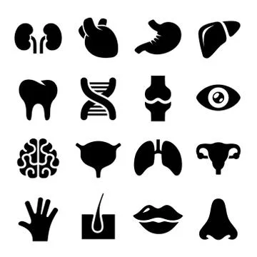 Human Organs Icons Set. Vector Stock Illustration