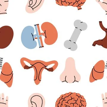 Human organs pattern. Internal organs anatomy. Vector illustration. Stock Illustration