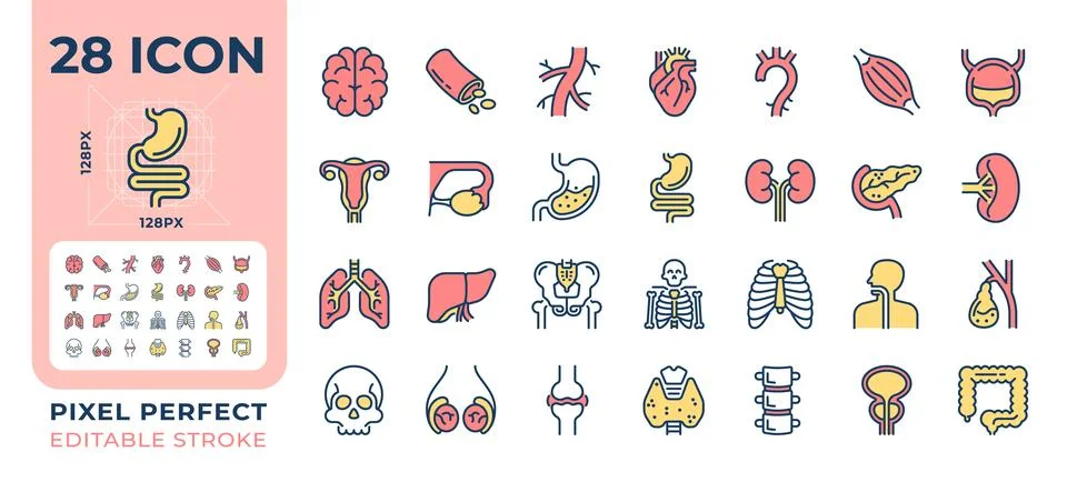 Human organs pixel perfect line color icons set 스톡 일러스트