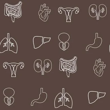 Human organs seamless pattern. Pattern on the medical theme of the organs Lun Stock Illustration