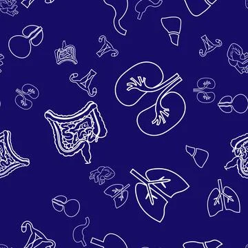 Human organs seamless pattern. Pattern on the medical theme of the organs Lun Stock Illustration
