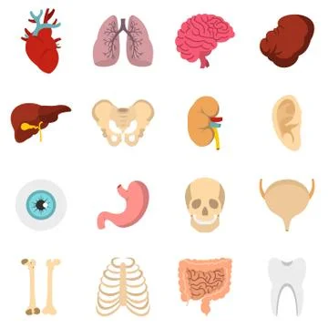 Human organs set flat icons Illustrazione stock