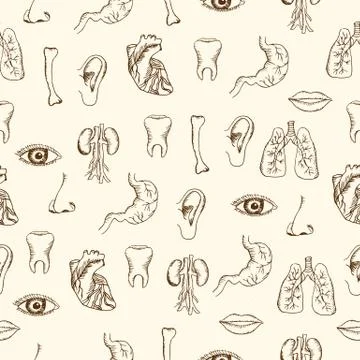 Human organs in sketches style set. Vector illustration backgrou Stock Illustration