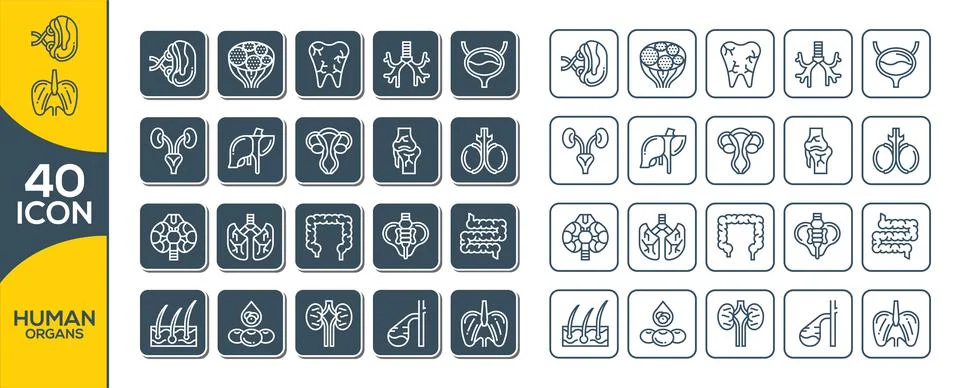 Human organs vector icons set, modern solid symbol collection, filled style p Stock Illustration