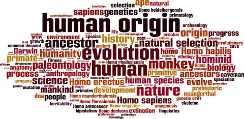 Human origin word cloud Stock Illustration