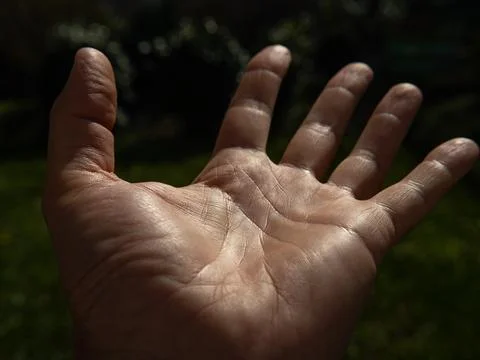 Human palm in the bright sun Stock Photos