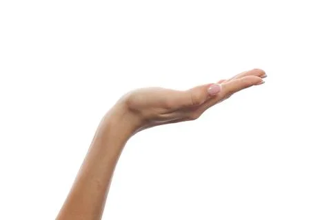 Human palm hand isolated. Empty female hand Stock Photos