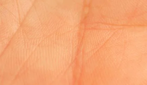 Human palm macro Stock Photos