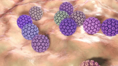 Human papillomavirus, a virus which causes warts and cervical cancer, 3D animati Stock Footage