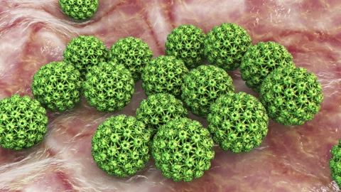 Human papillomavirus, a virus which causes warts and cervical cancer, 3D animati Stock Footage 154889861
