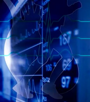 Human-parameters Stock Illustration