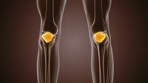 Human patella pain animation background Stock Footage 198453092