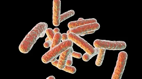 Human pathogenic bacteria Stock Footage 83384823