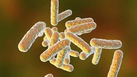 Human pathogenic bacteria Stock Footage 84694231