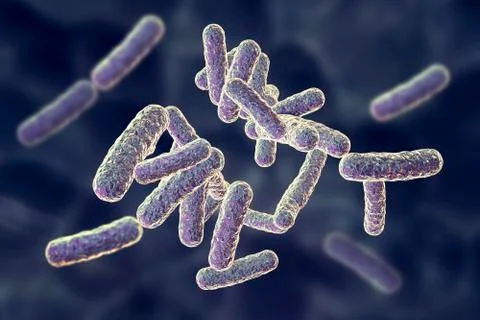 Human pathogenic bacteria Stock Illustration