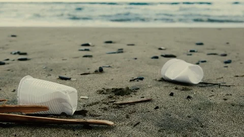 Human pick up plastic glass garbage on sea shore,clean up ecosystem pollution,4k Stock Footage 125384854