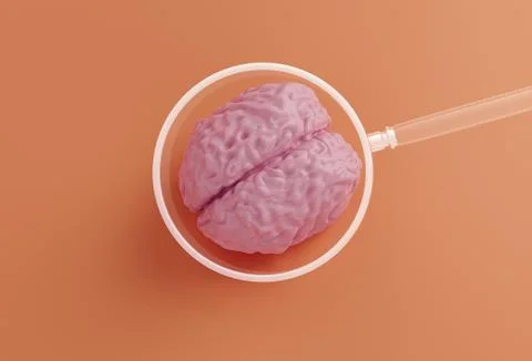 Human pink brain model and magnifying glass on orange background, human study Illustrazione stock