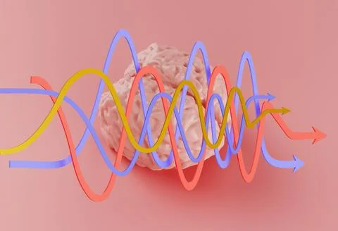 Human pink brain model and curved arrows on pink background, 3d illustration Stock Illustration
