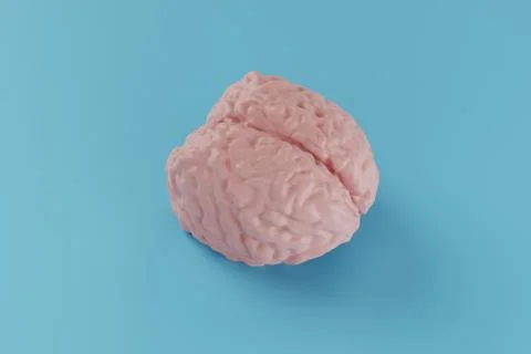Human pink brain model on blue background, minimal concept, 3d illustration Stock Illustration