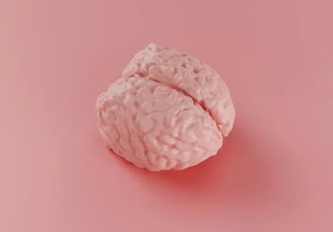 Human pink brain model on pink background, minimal concept, 3d illustration Stock Illustration