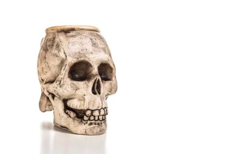 Human plaster skull on a white background Stock Photos