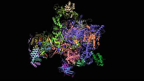 Human pre-initiation complex in closed-open-initial transcribing state Stock Footage 147714834