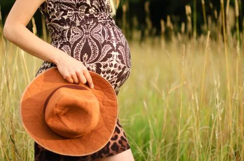 Human pregnancy Stock Photos