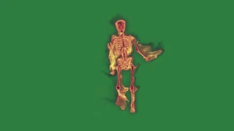 Human Professional - Chroma Key Green Screen Footage Stock Footage 338011594