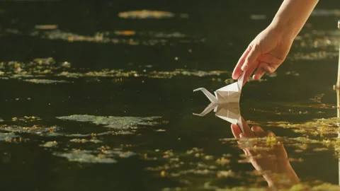 Human put paper ship boat on water in the park close up. Origami paper crane on Stock Footage 252698744