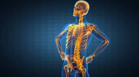 Human radiography scan Stock Footage 10826959