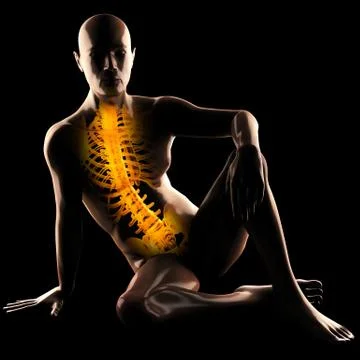 Human radiography scan Stock Illustration