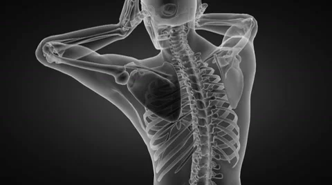 Human radiography scan made in 3D Видео 10774487