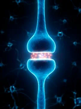 Human receptor, artwork Stock Illustration