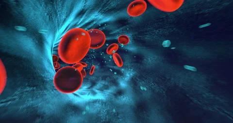 Human Red Blood Cells Flowing Inside Human Vein. Perfect Loop Stock Footage