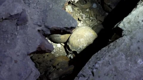Human remains, bones and skulls in the old monastery crypt Stock Footage 220298973