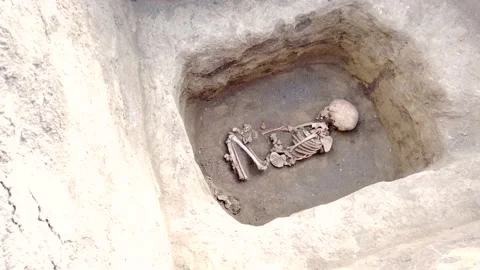 Human remains, bones of skeleton and skulls in the ground tomb. Stock Footage 136500911