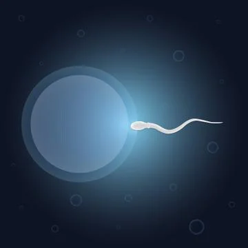Human reproduction concept vector design Stock-Illustration