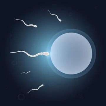 Human reproduction concept vector design Stock Illustration