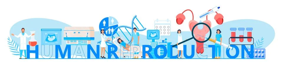 Human reproduction concept vector header. Reproductive concept vector. Medica Illustrazione stock