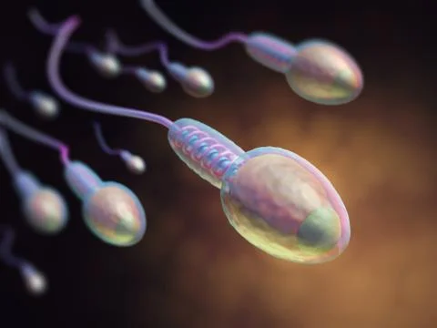 Human Reproduction Illustrazione stock