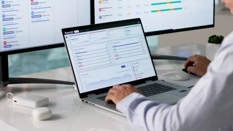Human Resource Manager Uses Payroll Software 動画素材 334928312