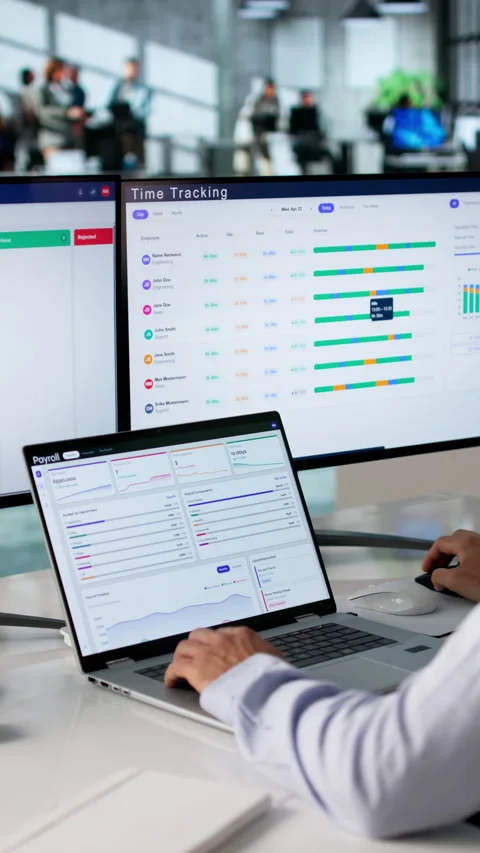 Human Resource Manager Uses Payroll Software Stock Footage 335456948