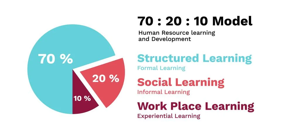 Human resource training and development pie chart Stock Illustration