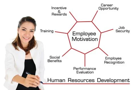 Human Resources Development Concept Stock-Illustration