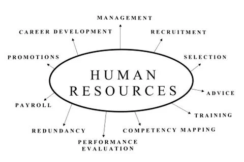 Human resources Stock Illustration